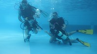 IMG_0086.jpg
